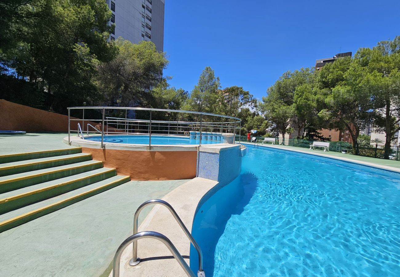 Apartamento en Benidorm - Apartamento Ciudad Antena IF Benidorm