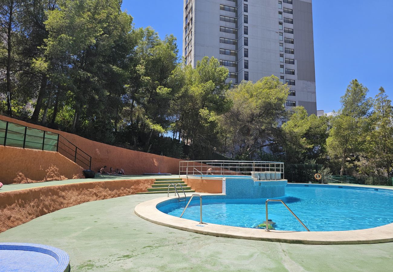 Apartamento en Benidorm - Apartamento Ciudad Antena IF Benidorm