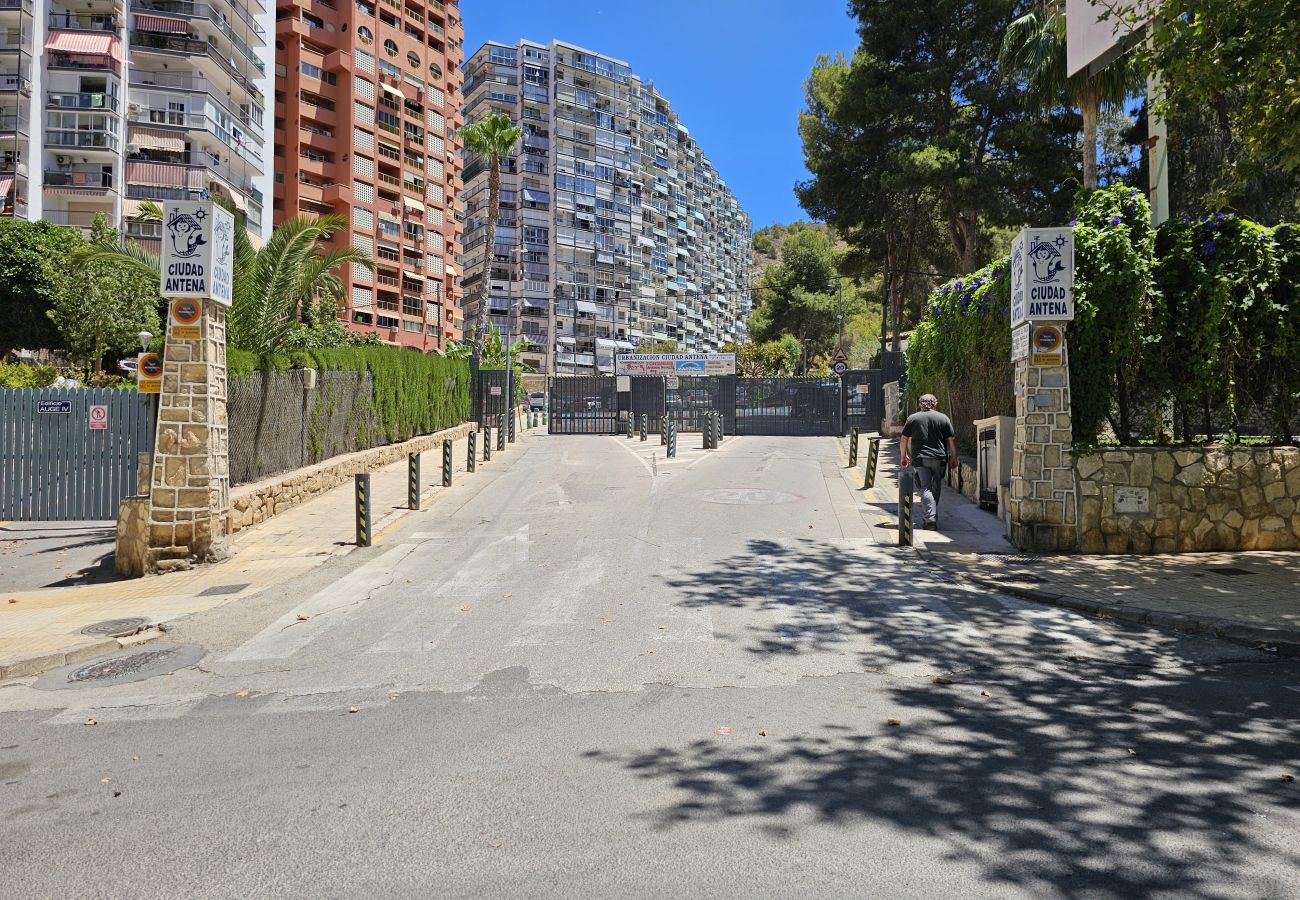 Apartamento en Benidorm - Apartamento Ciudad Antena IF Benidorm