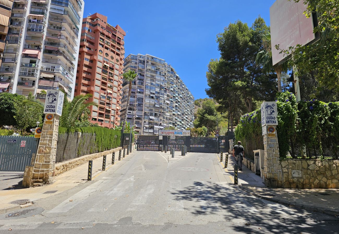 Apartamento en Benidorm - Apartamento Ciudad Antena IF Benidorm