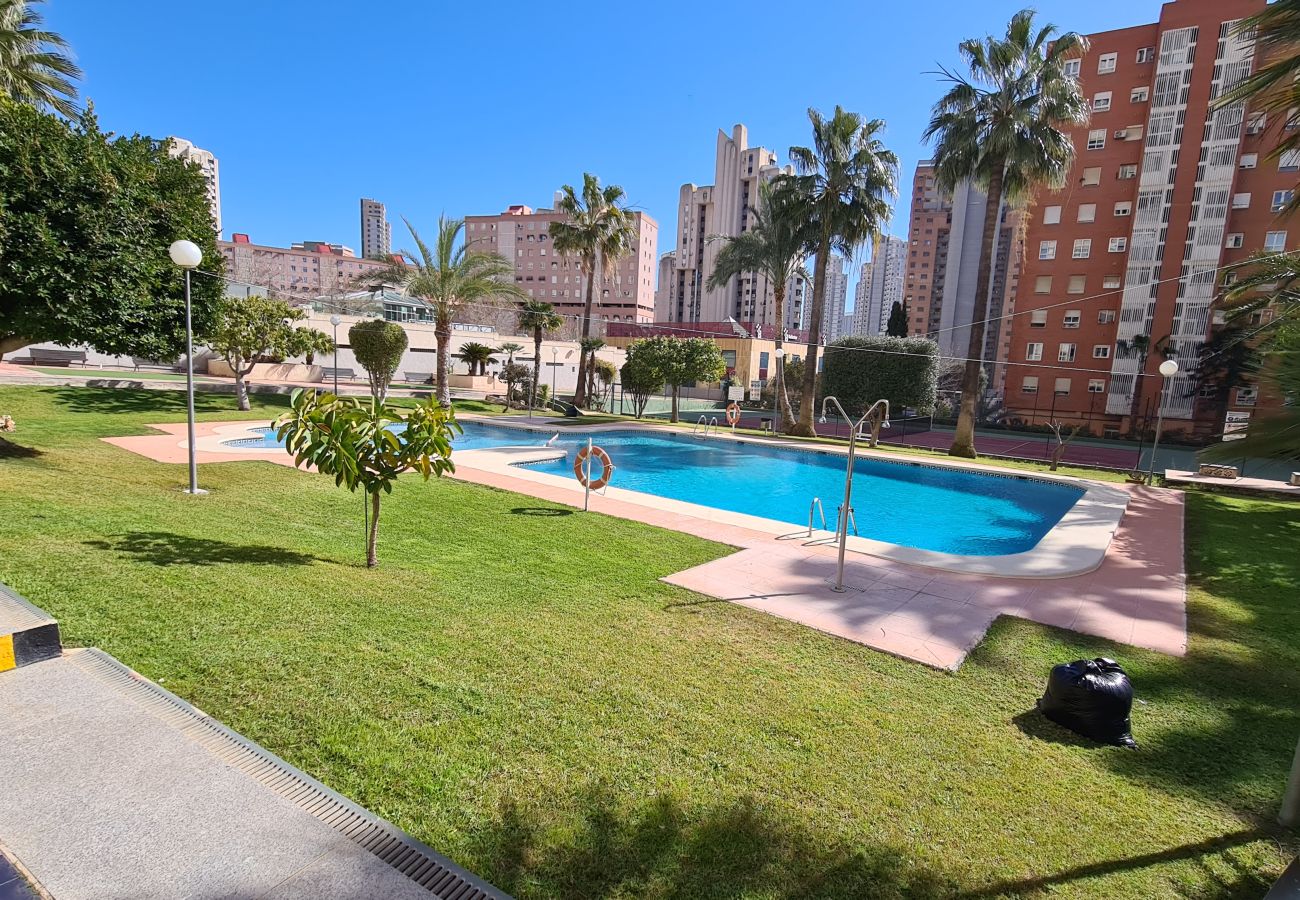 Apartamento en Benidorm - Apartamento Gemelos XII  27 IF Benidorm