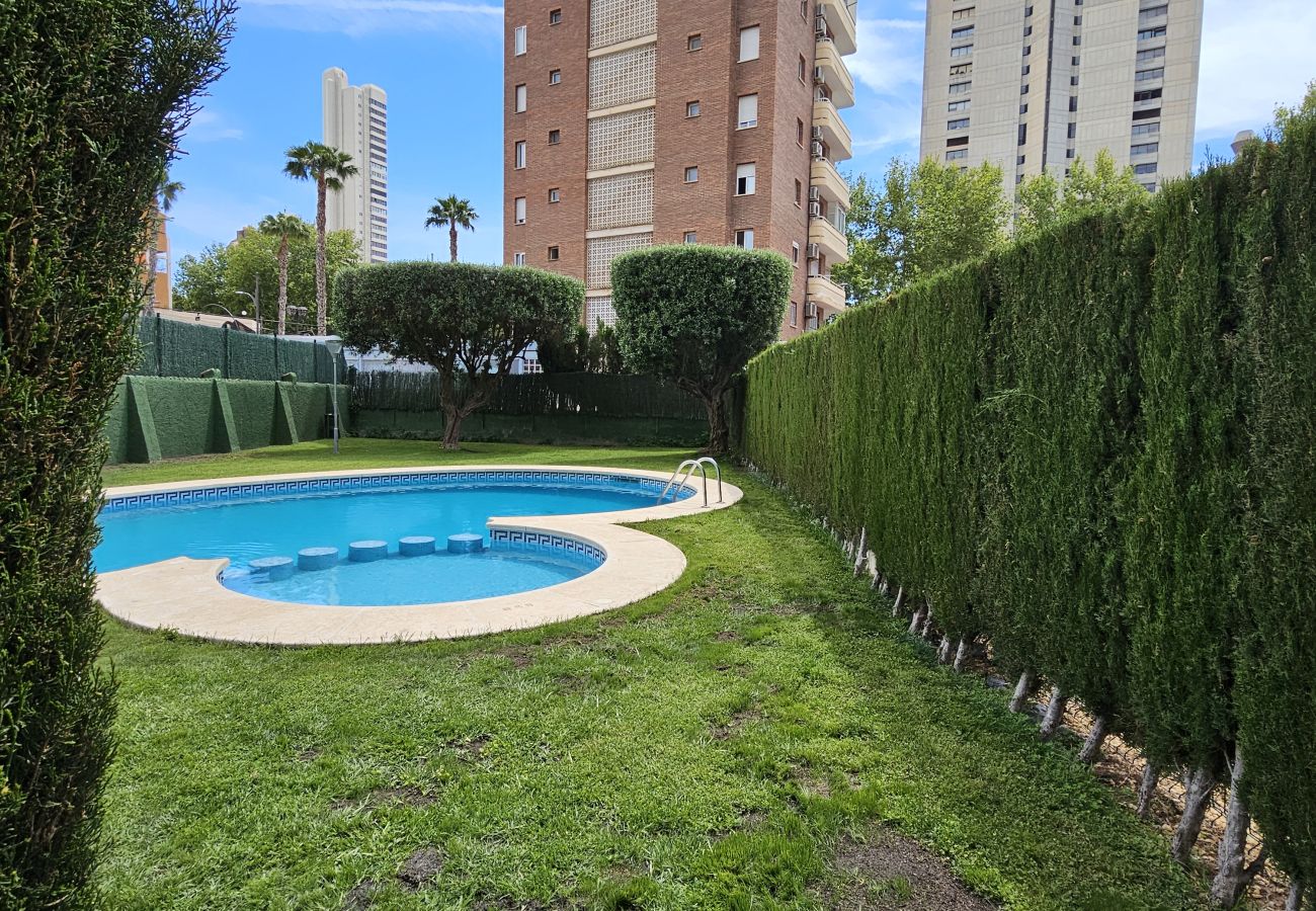 Apartamento en Benidorm - Apartamento Gerona IF Beach