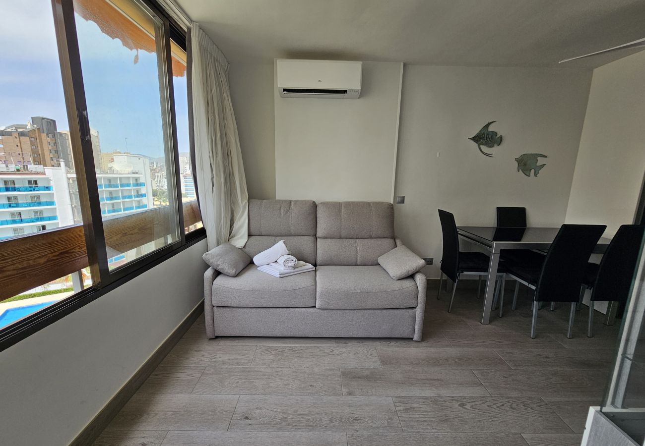 Apartamento en Benidorm - Apartamento Girasol 4 IF Benidorm