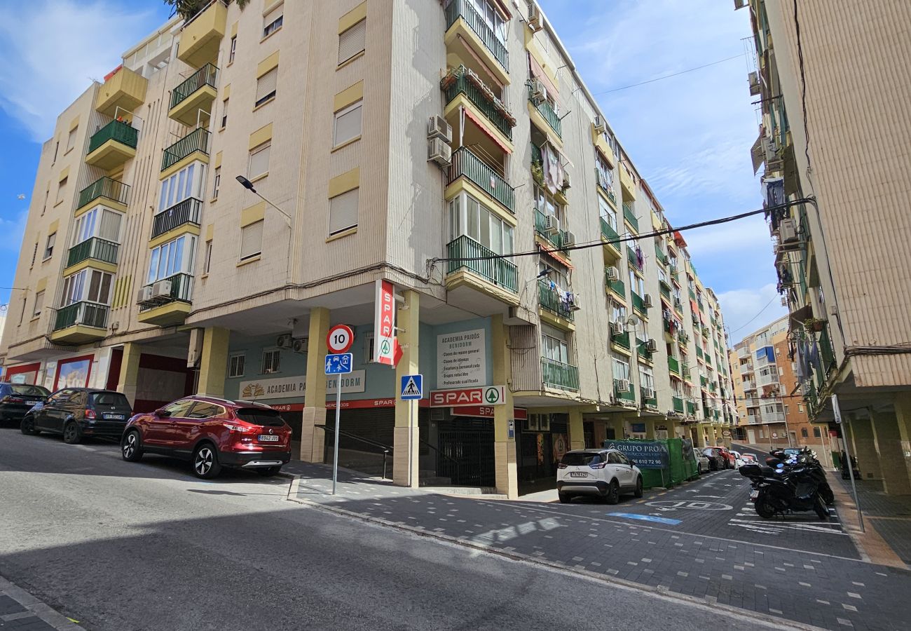 Estudio en Benidorm - Estudio  New Life IF Benidorm