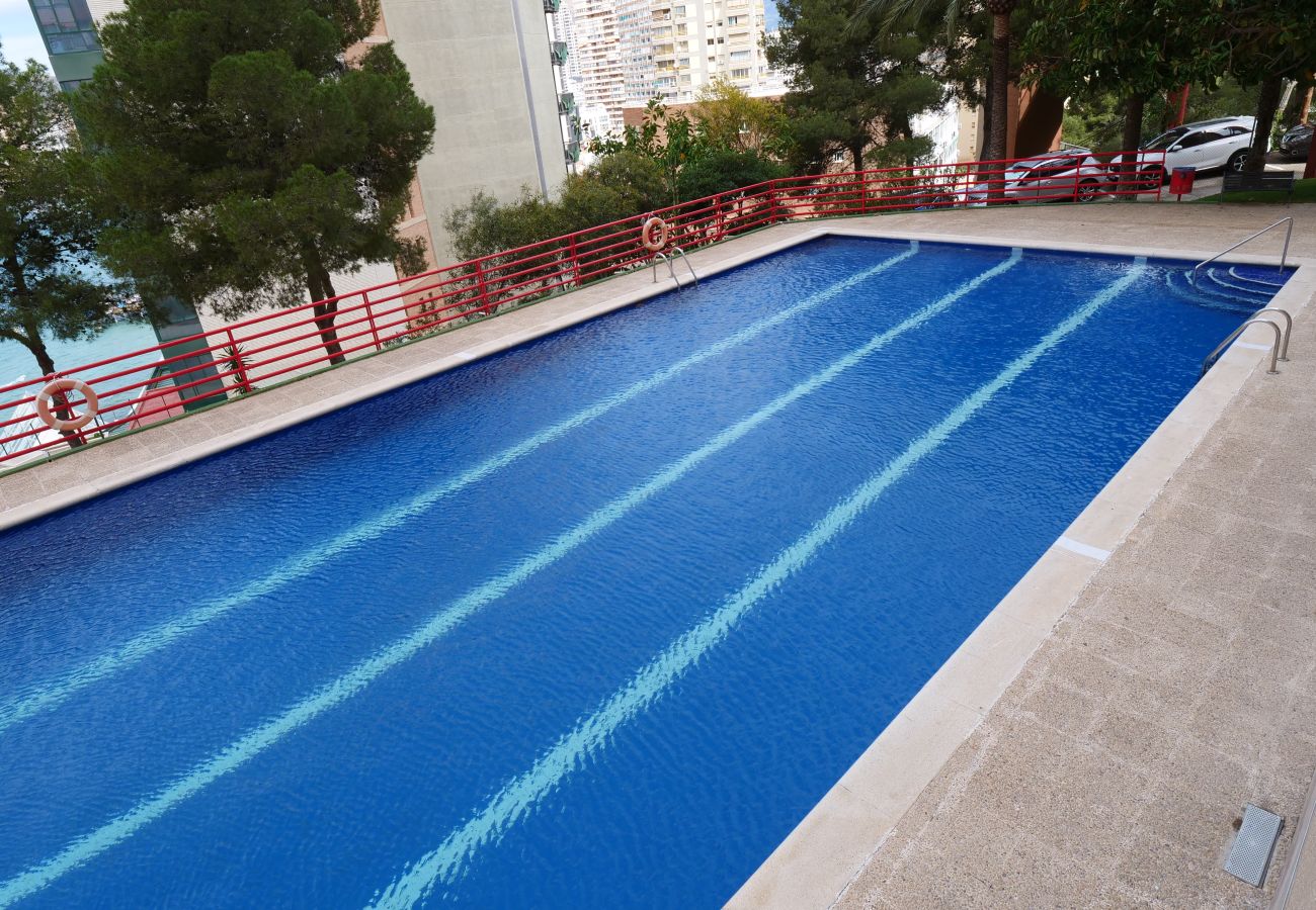 Apartamento en Benidorm - Sunsetview Benidorm IF