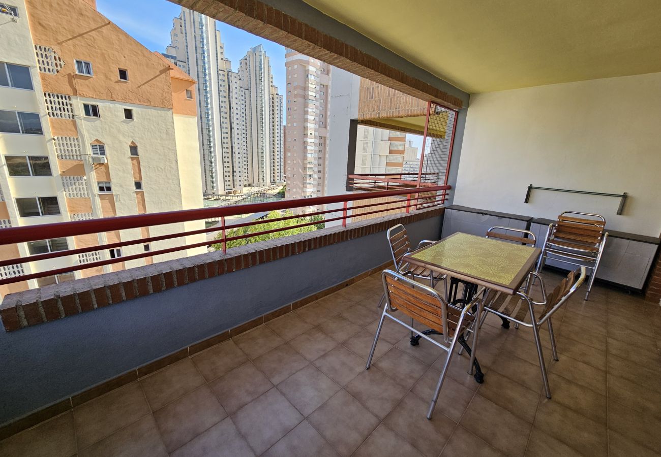 Apartamento en Benidorm - Apartamento Eva Mar IF Benidorm