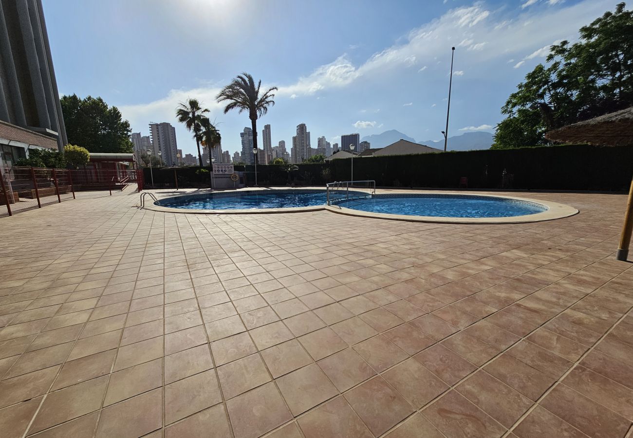 Apartamento en Benidorm - Apartamento Eva Mar IF Benidorm