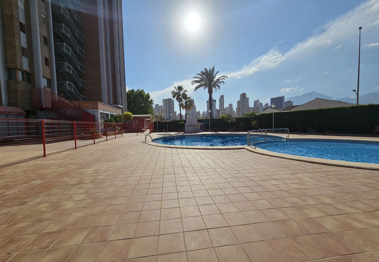 Apartamento en Benidorm - Apartamento Eva Mar IF Benidorm