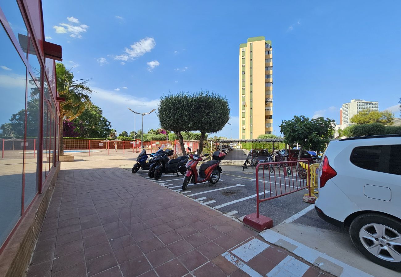 Apartamento en Benidorm - Apartamento Eva Mar IF Benidorm