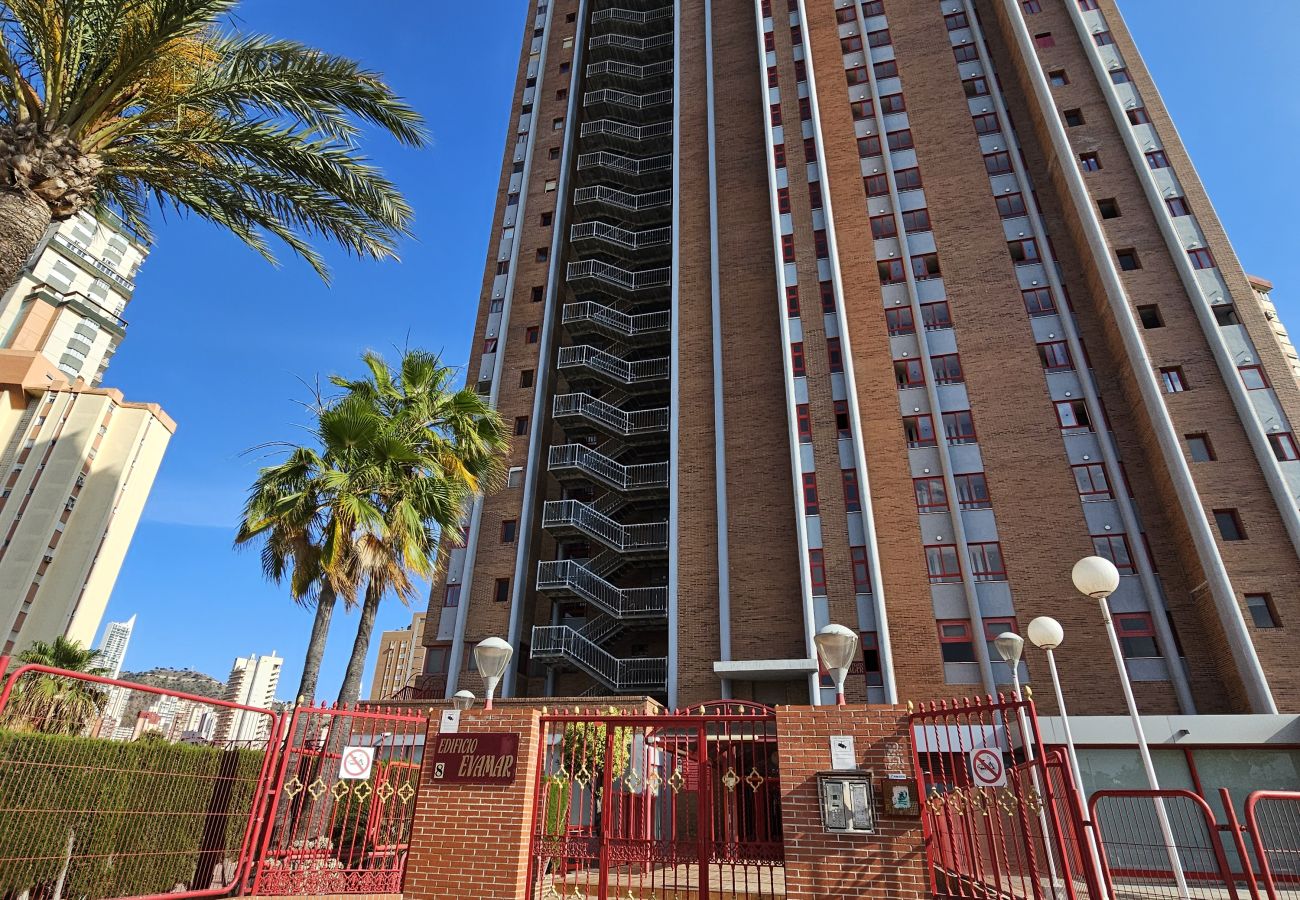 Apartamento en Benidorm - Apartamento Eva Mar IF Benidorm