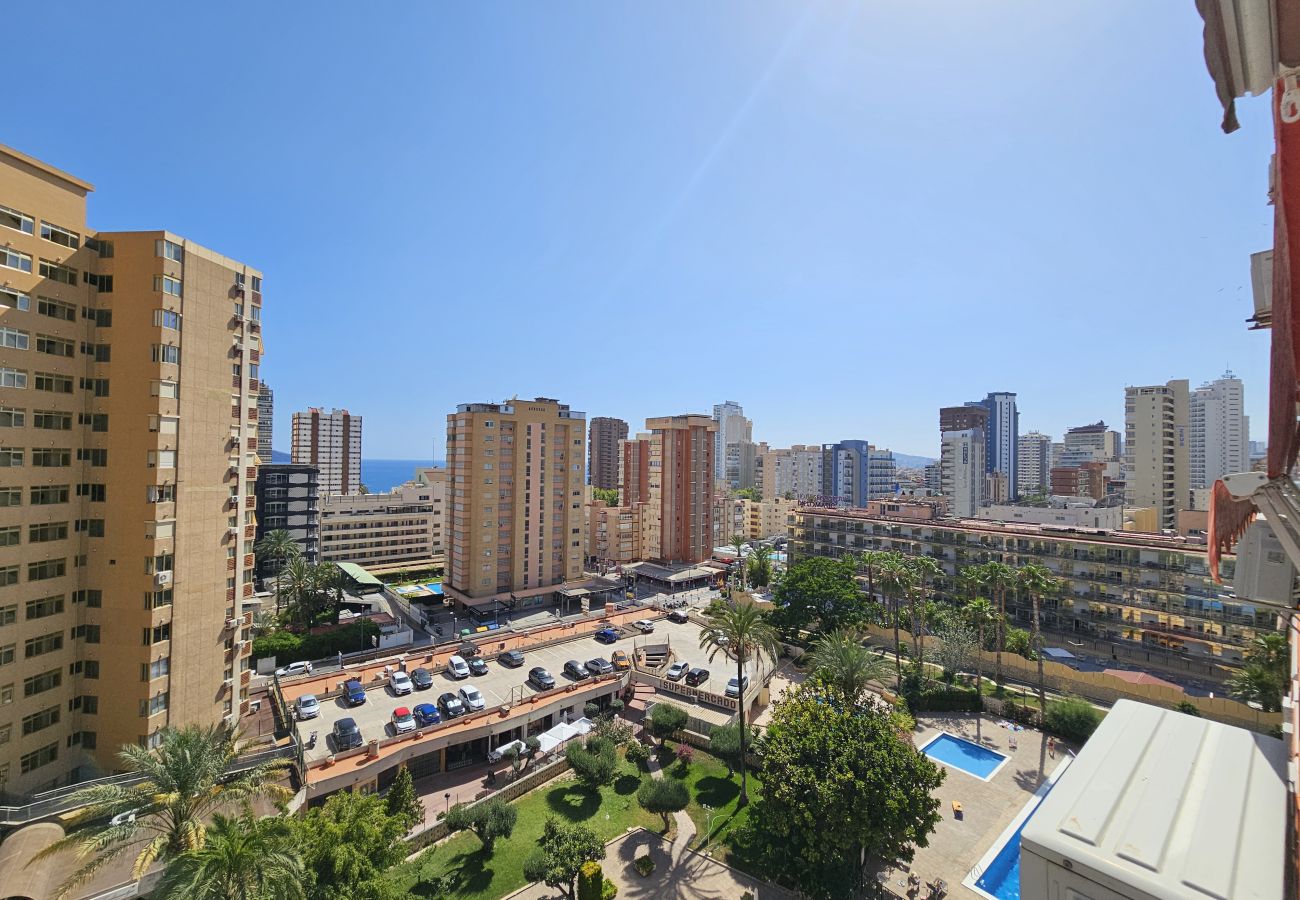 Apartamento en Benidorm - Apartamento Cervantes IF Benidorm