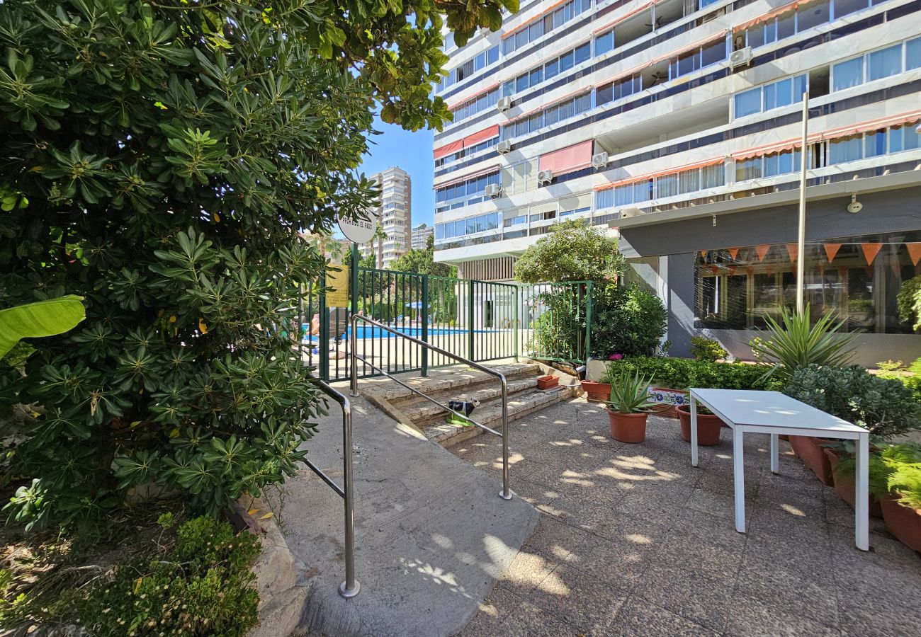 Apartamento en Benidorm - Apartamento Cervantes IF Benidorm