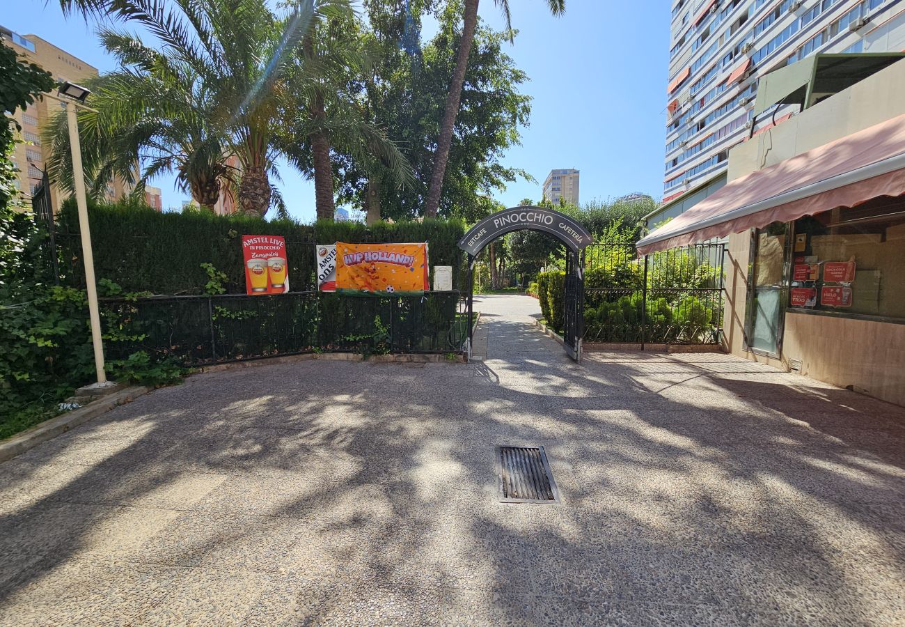 Apartamento en Benidorm - Apartamento Cervantes IF Benidorm