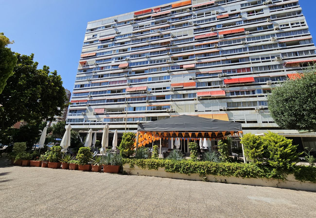 Apartamento en Benidorm - Apartamento Cervantes IF Benidorm