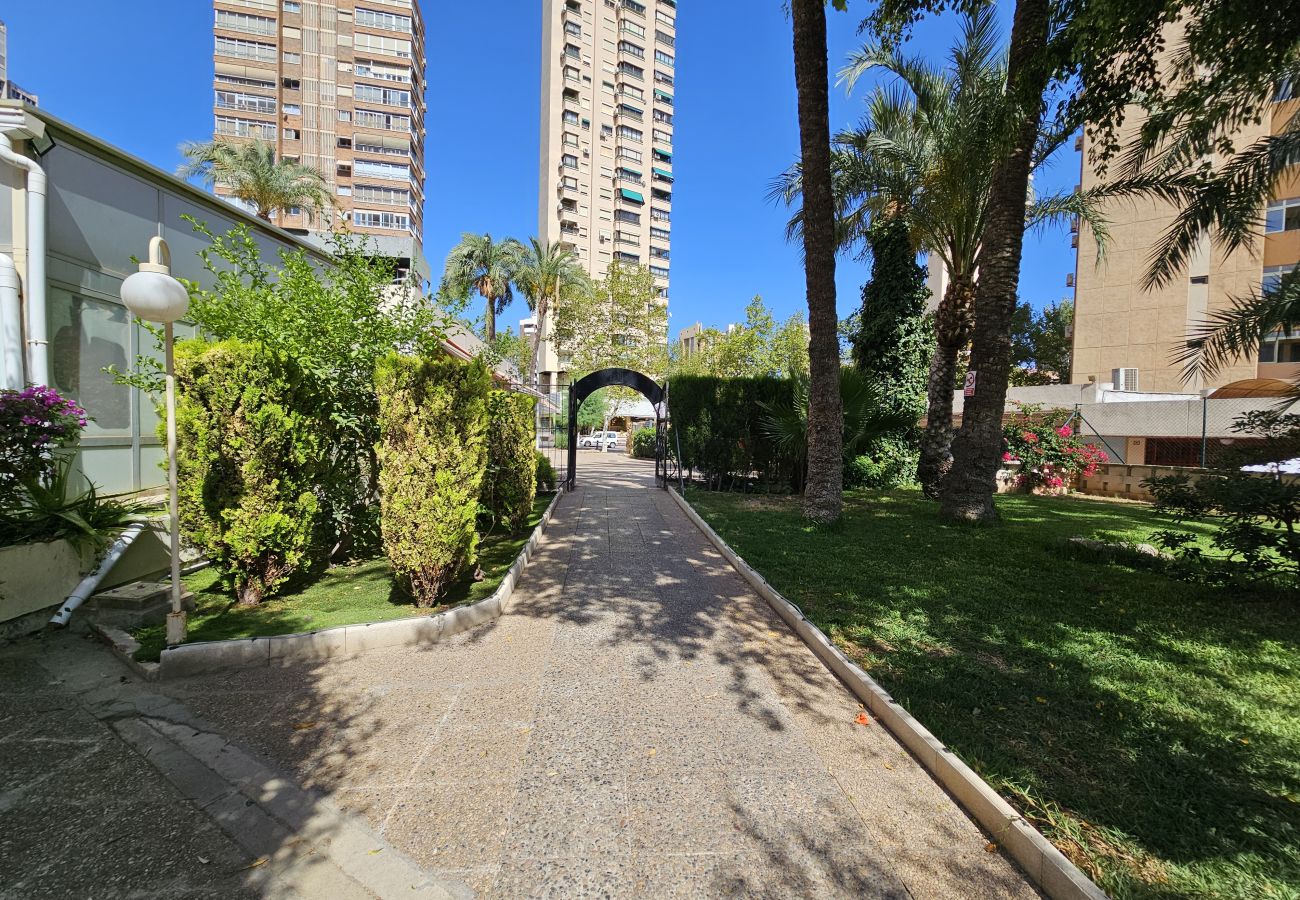 Apartamento en Benidorm - Apartamento Cervantes IF Benidorm