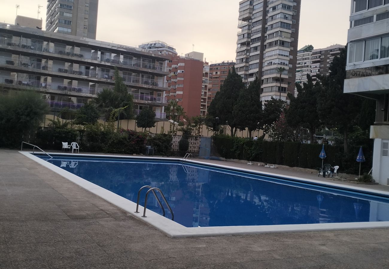 Apartamento en Benidorm - Apartamento Cervantes IF Benidorm