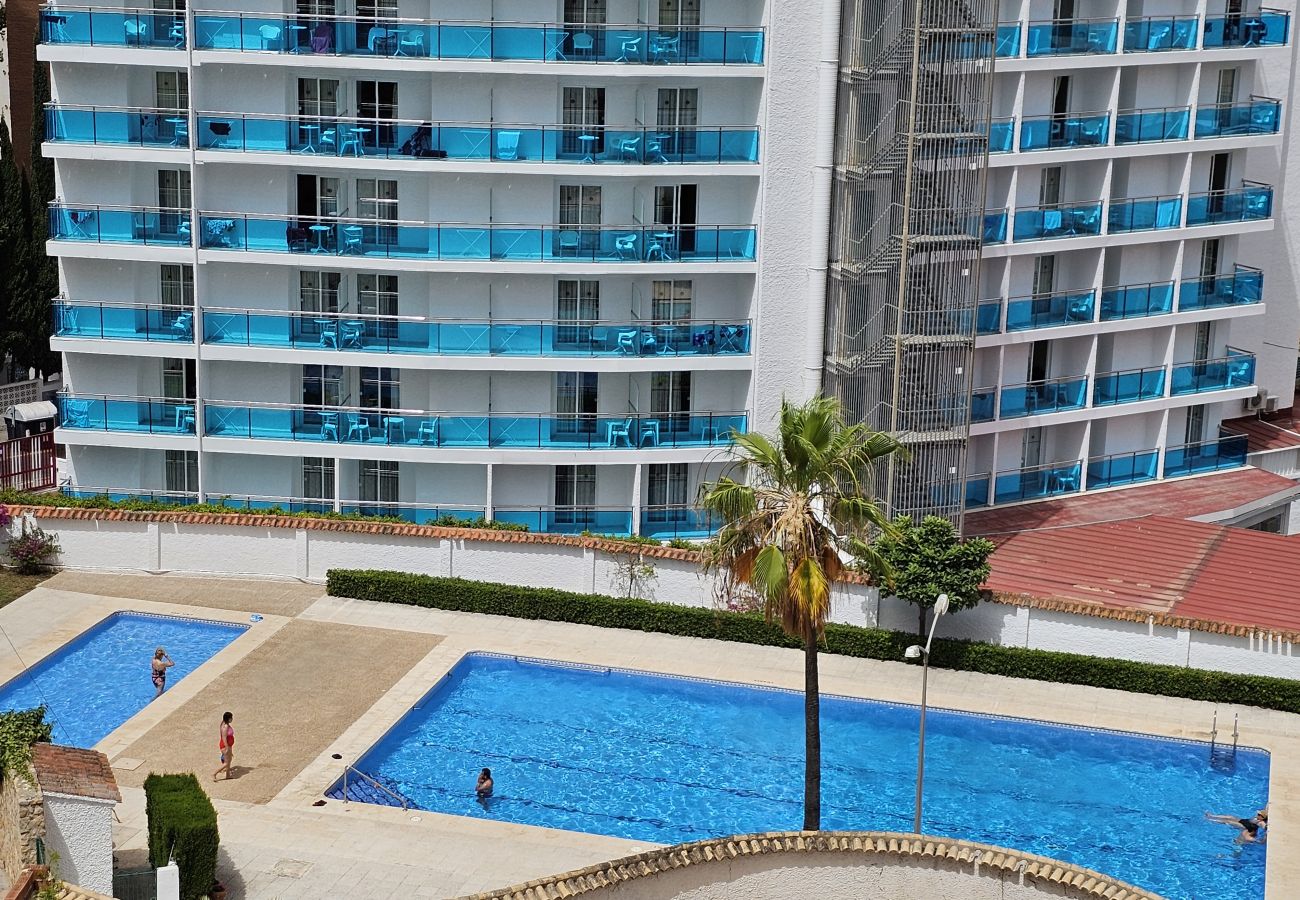 Apartamento en Benidorm - Apartamento Girasol 3 IF Beach