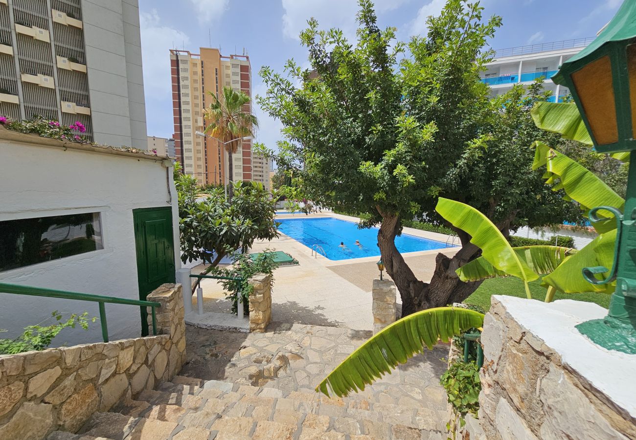 Apartamento en Benidorm - Apartamento Girasol 3 IF Beach