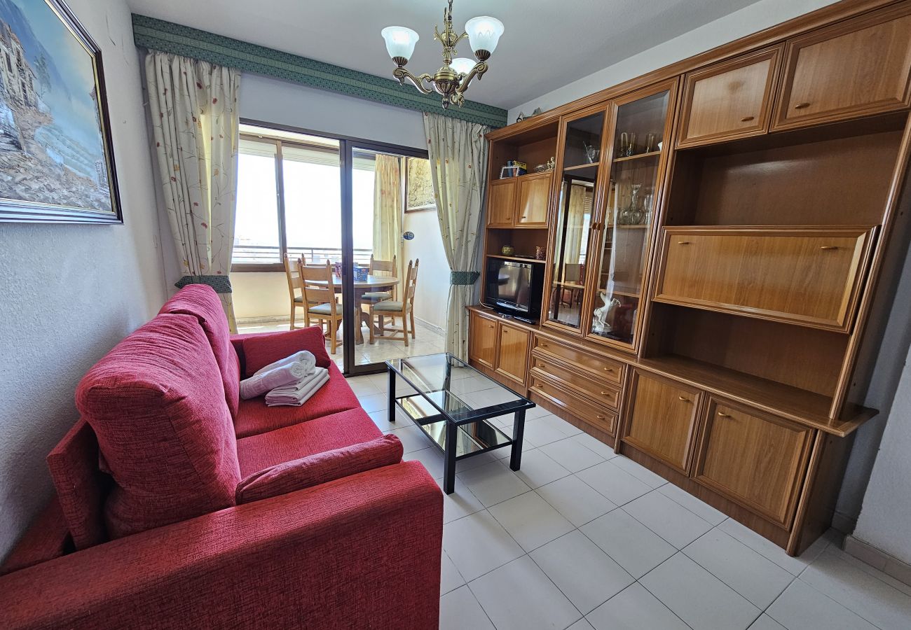 Apartamento en Benidorm - Apartamento Gemelos XII 21 IF Benidorm