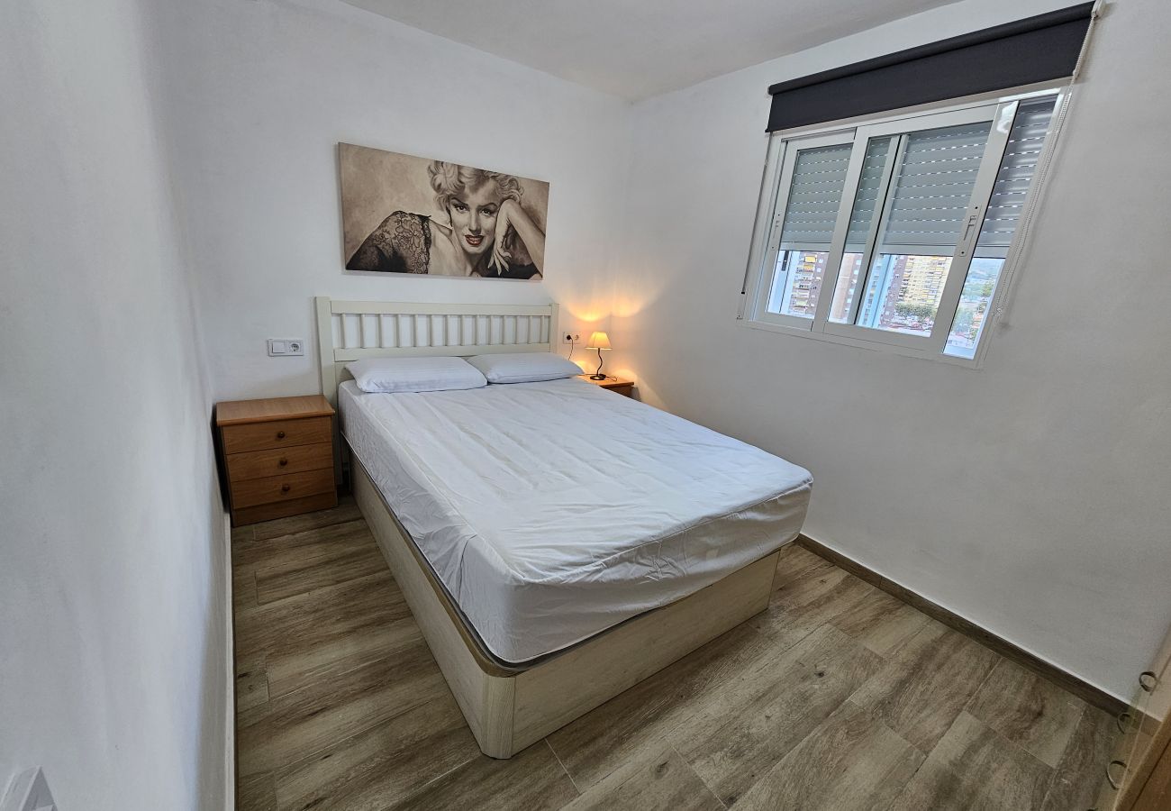 Apartamento en Benidorm - Apartamento Acacias 8 IF Benidorm