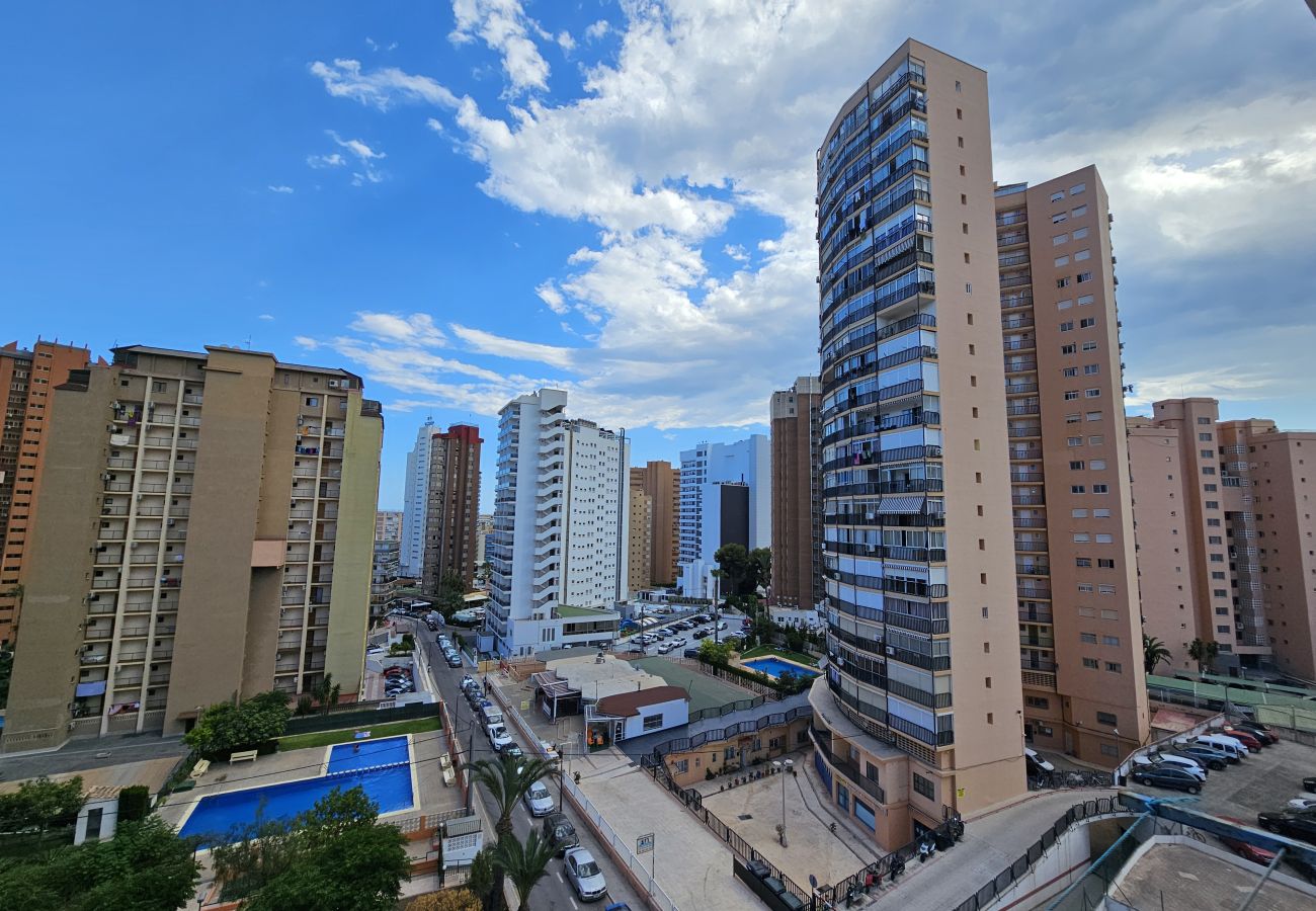 Apartamento en Benidorm - Apartamento Acacias 8 IF Benidorm