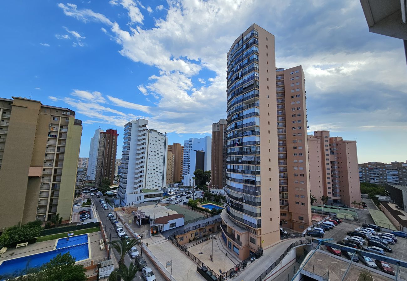 Apartamento en Benidorm - Apartamento Acacias 8 IF Benidorm