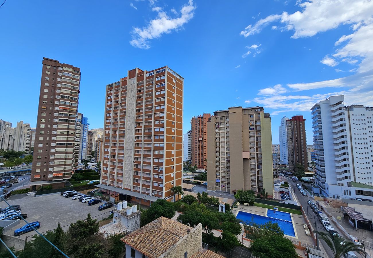 Apartamento en Benidorm - Apartamento Acacias 8 IF Benidorm