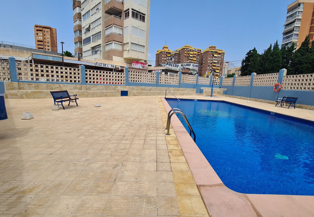 Apartamento en Benidorm - Apartamento Acacias 8 IF Benidorm