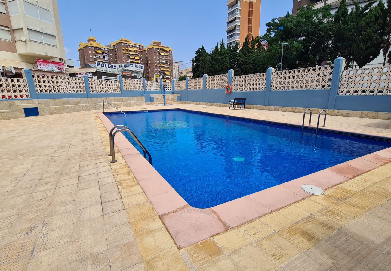 Apartamento en Benidorm - Apartamento Acacias 8 IF Benidorm