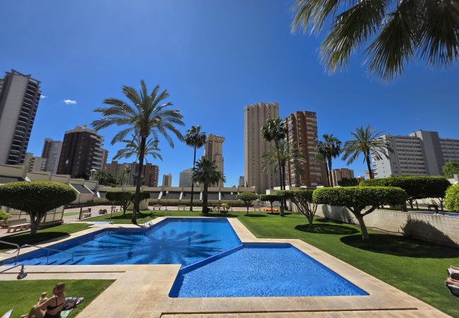 Apartamento en Benidorm - Apartamento Gemelos XX 5 IF Benidorm