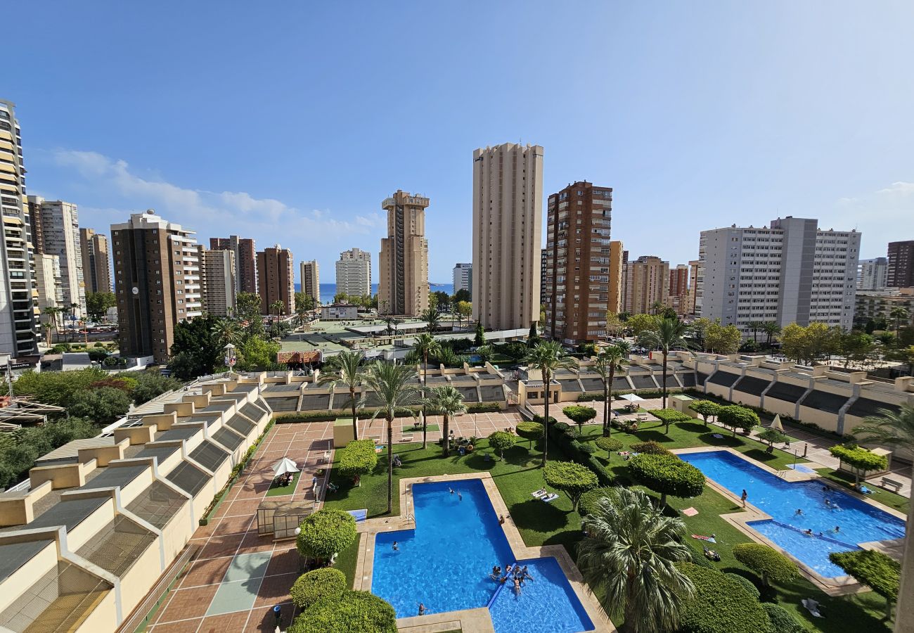 Apartamento en Benidorm - Apartamento Gemelos XX 5 IF Benidorm