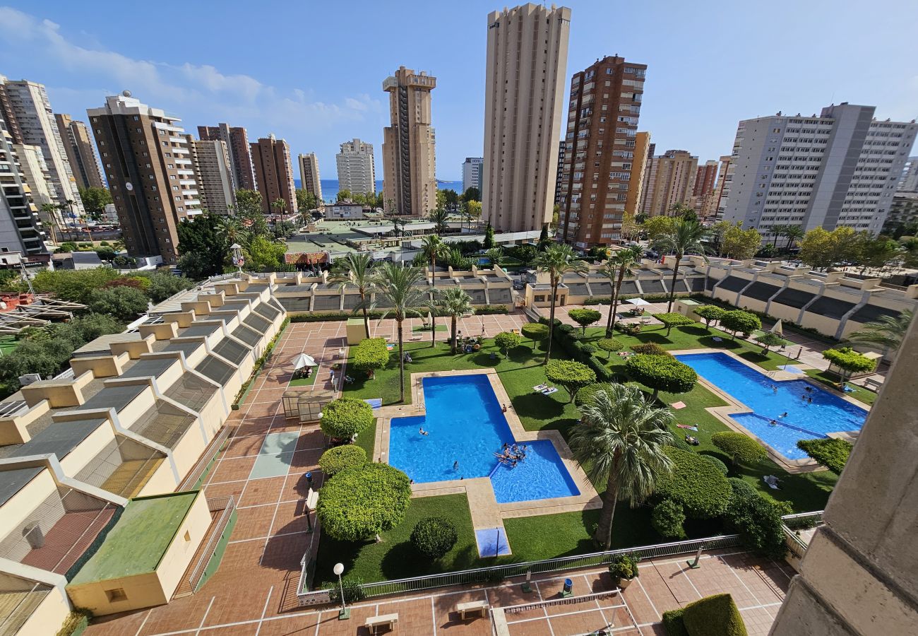 Apartamento en Benidorm - Apartamento Gemelos XX 5 IF Benidorm