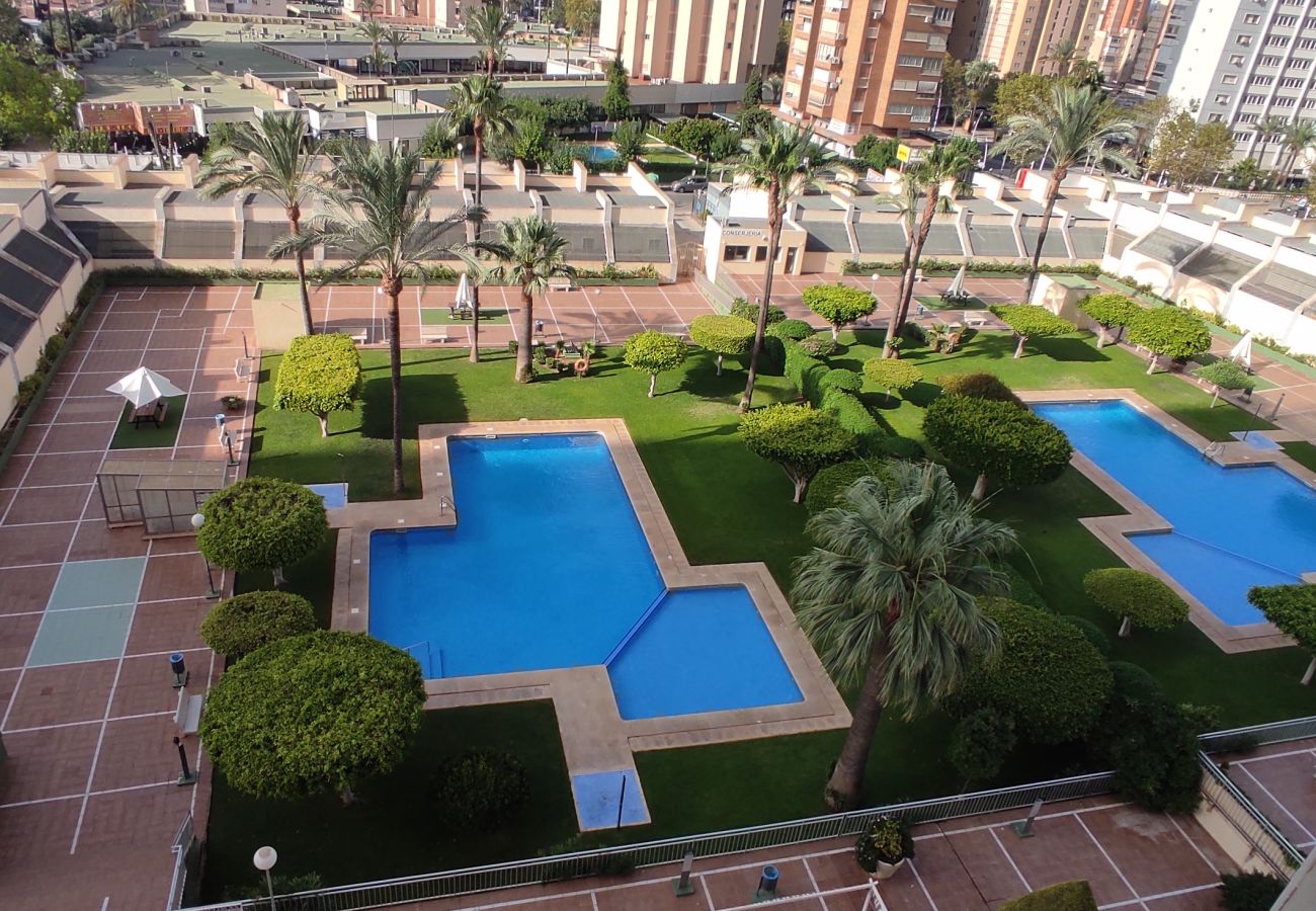 Apartamento en Benidorm - Apartamento Gemelos XX 5 IF Benidorm