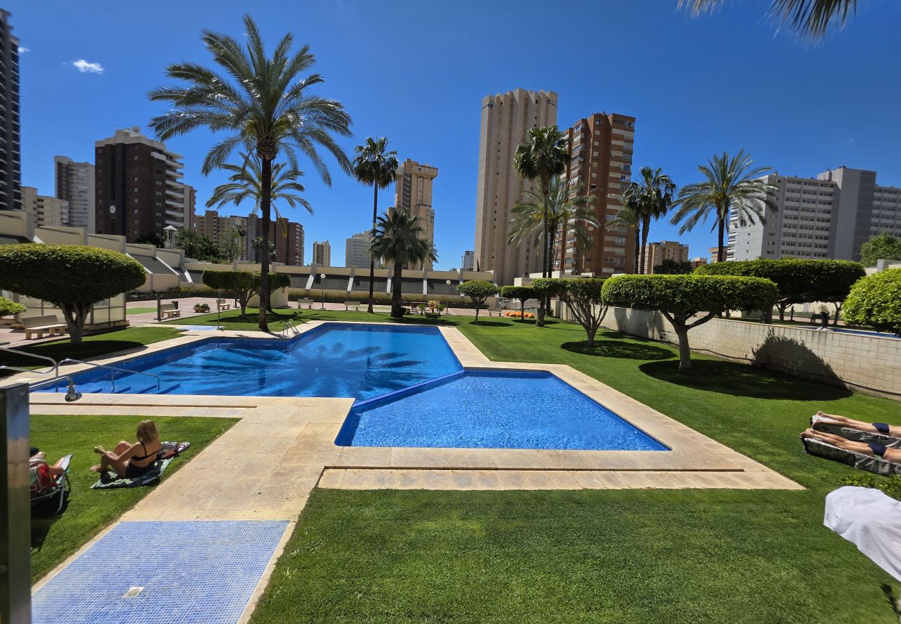 Apartamento en Benidorm - Apartamento Gemelos XX 5 IF Benidorm