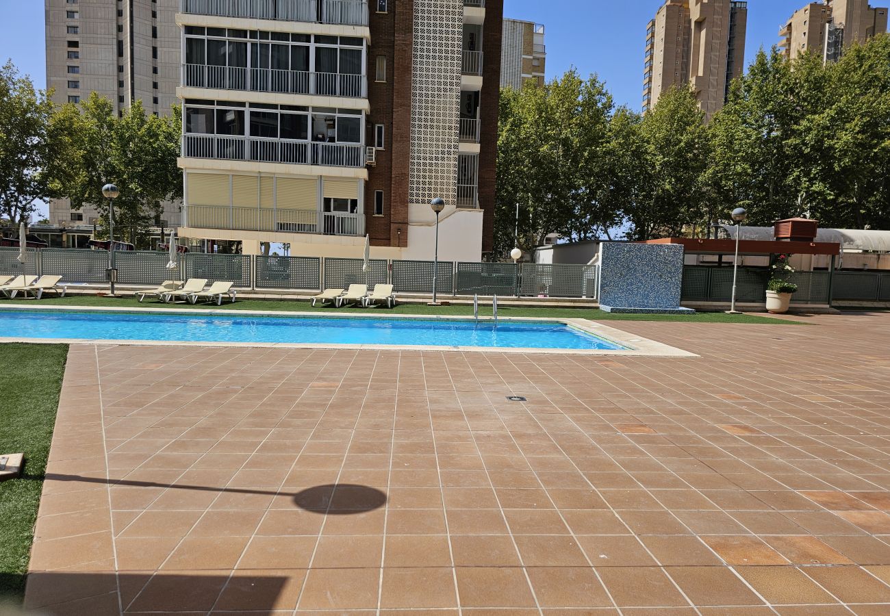 Apartamento en Benidorm - Apartamento Coblanca 41 IF Benidorm