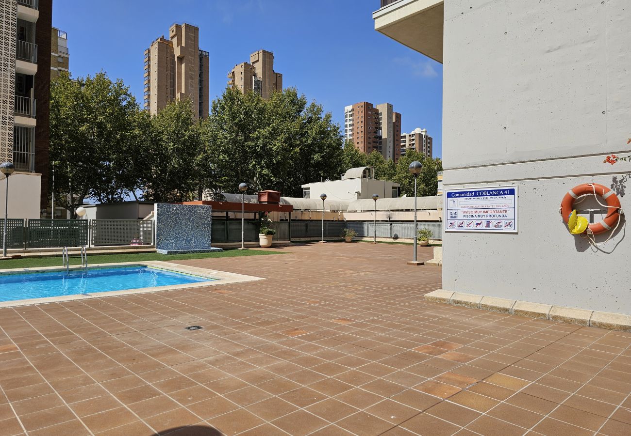 Apartamento en Benidorm - Apartamento Coblanca 41 IF Benidorm