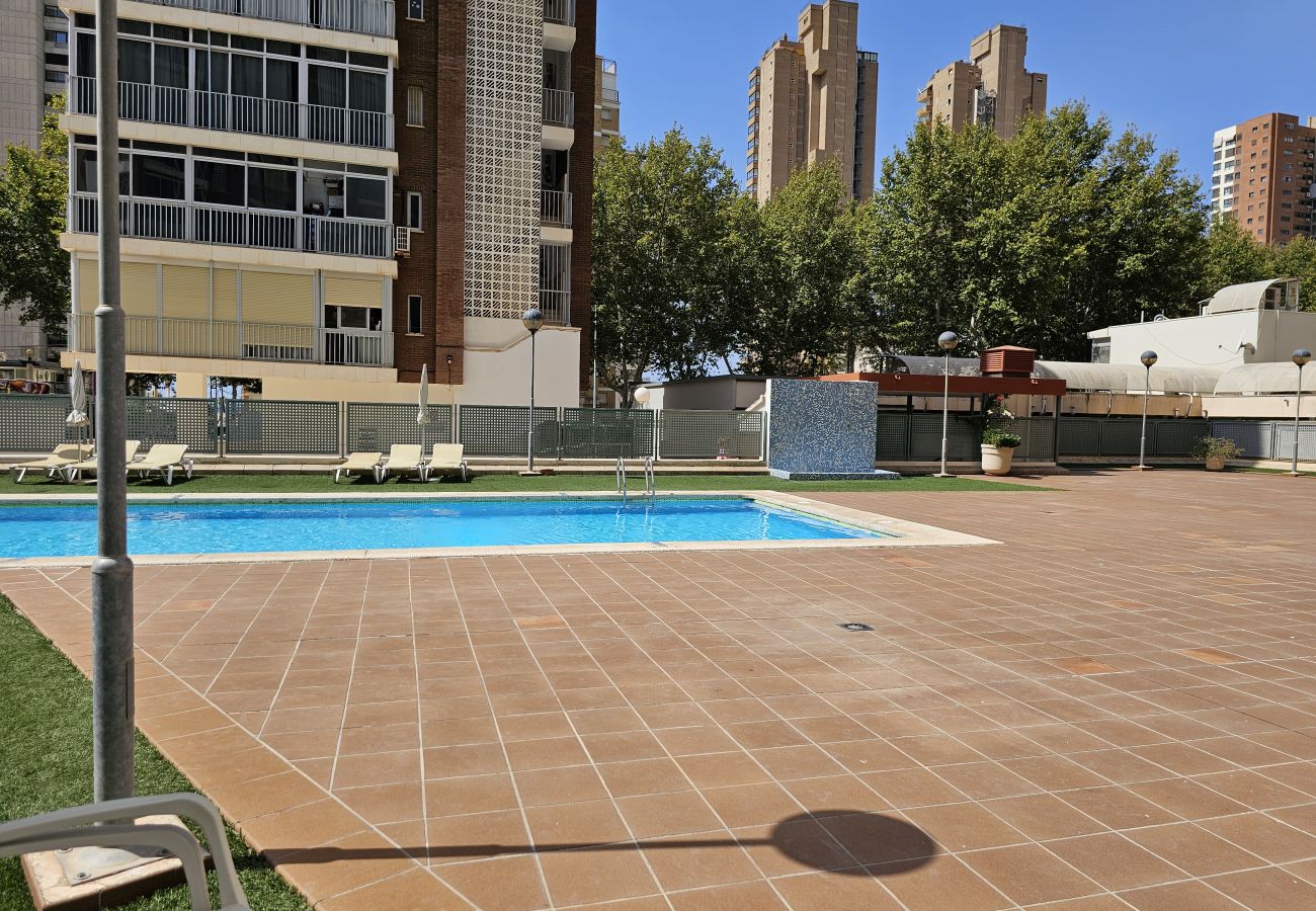 Apartamento en Benidorm - Apartamento Coblanca 41 IF Benidorm