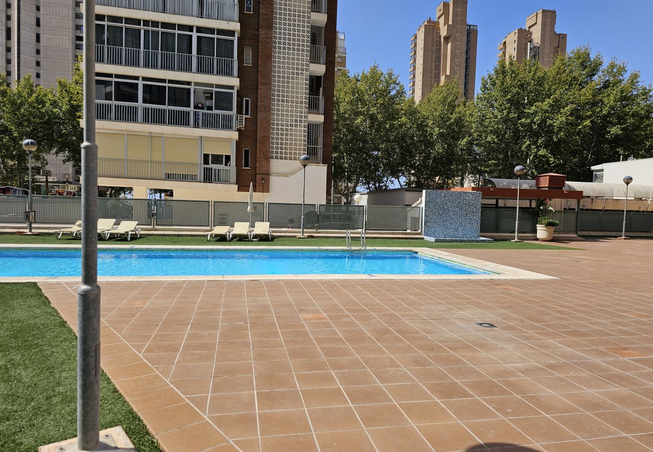 Apartamento en Benidorm - Apartamento Coblanca 41 IF Benidorm