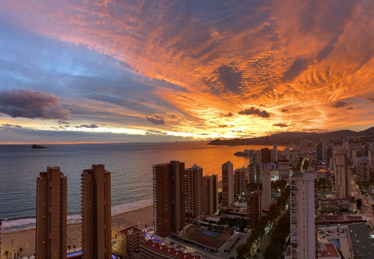 Apartamento en Benidorm - Apartamento Coblanca 41 IF Benidorm