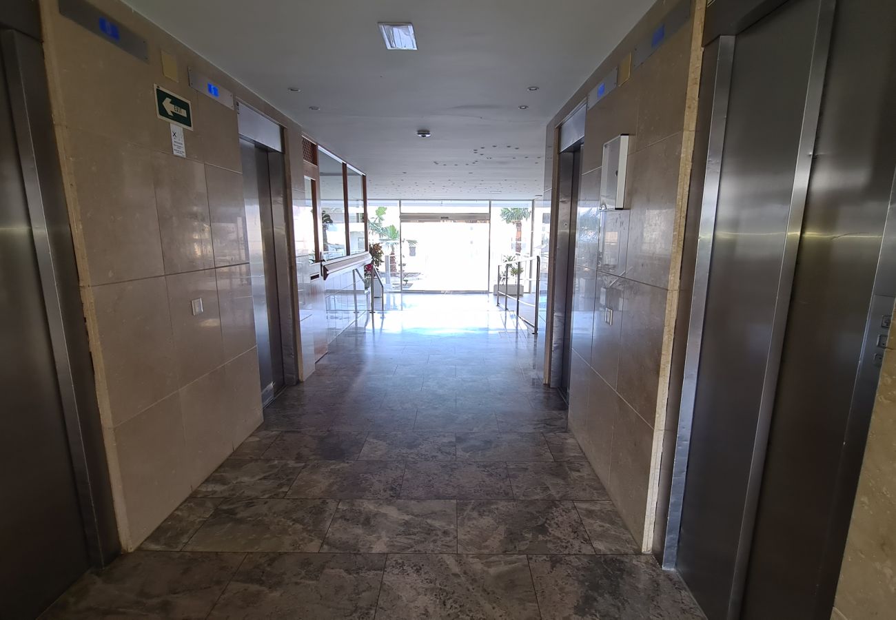 Apartamento en Benidorm - Apartamento Trinisol 11 IF Benidorm