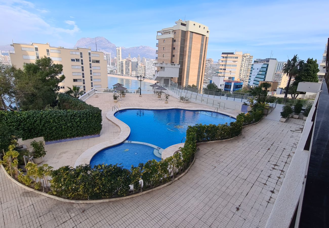 Apartamento en Benidorm - Apartamento Trinisol 11 IF Benidorm