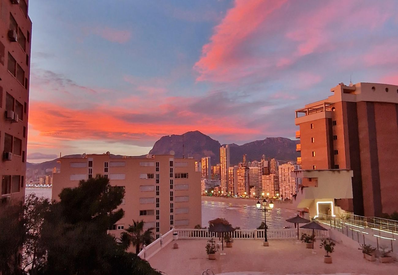 Apartamento en Benidorm - Apartamento Trinisol 11 IF Benidorm