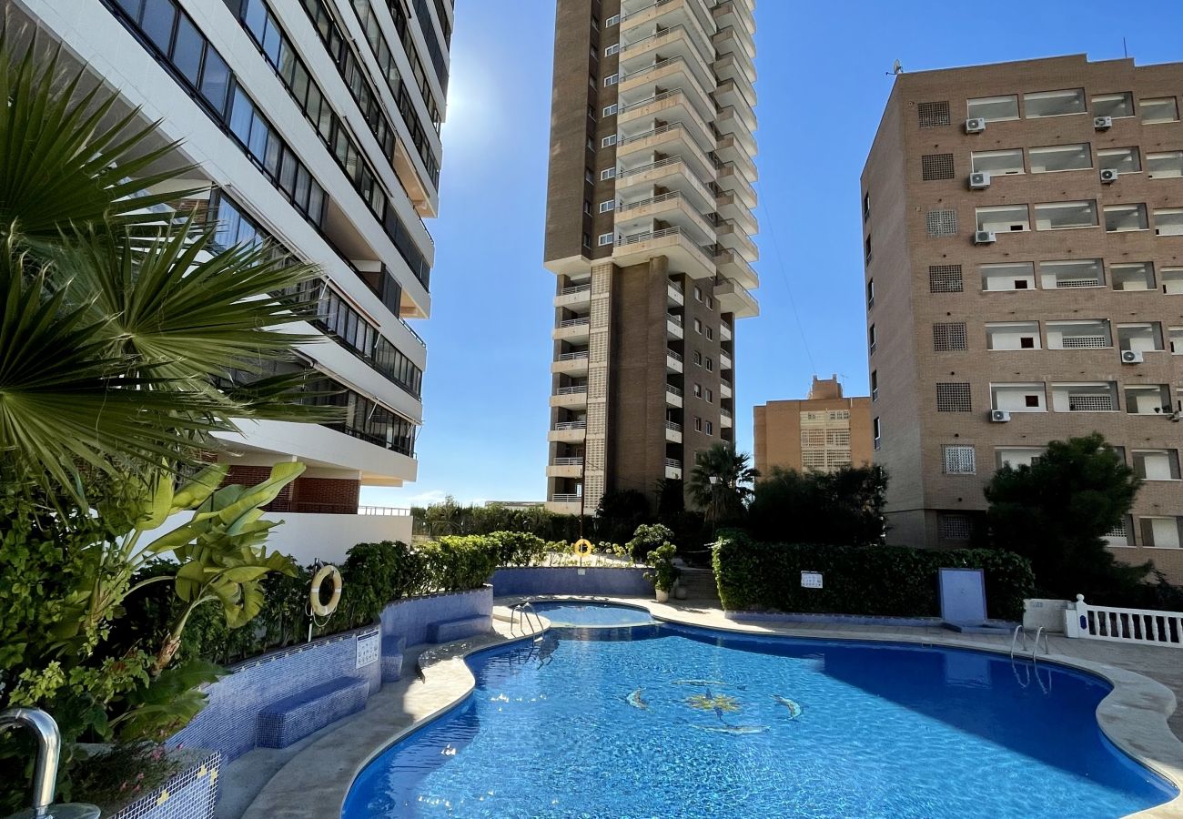 Apartamento en Benidorm - Apartamento Trinisol 11 IF Benidorm