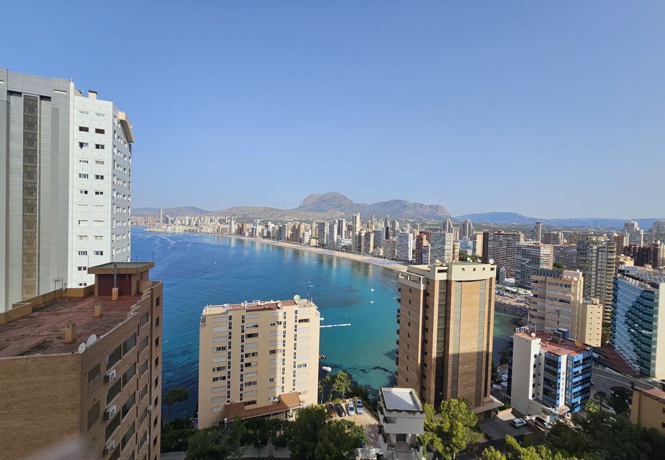 Apartamento en Benidorm - Apartamento Trinisol 11 IF Benidorm