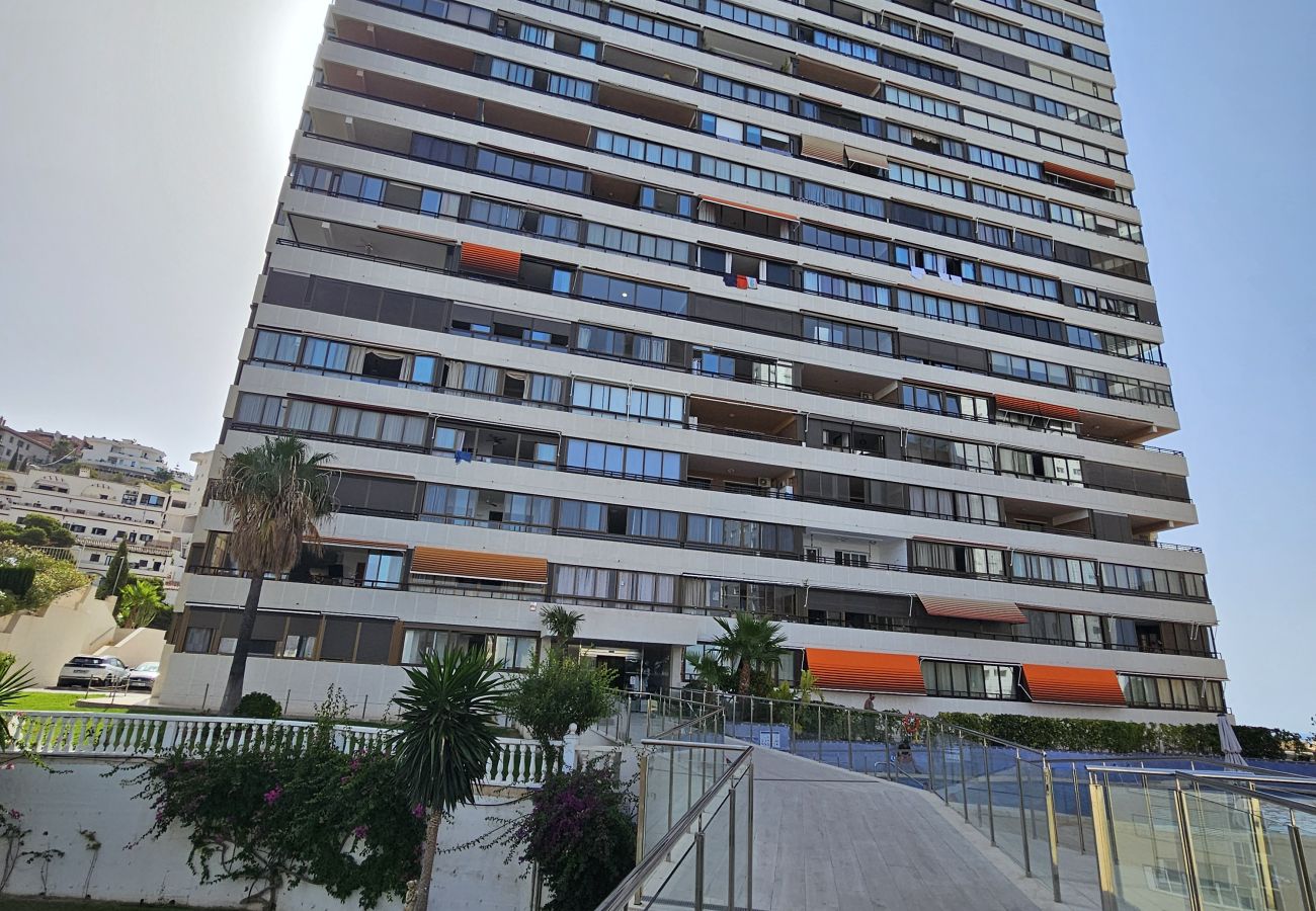 Apartamento en Benidorm - Apartamento Trinisol 11 IF Benidorm