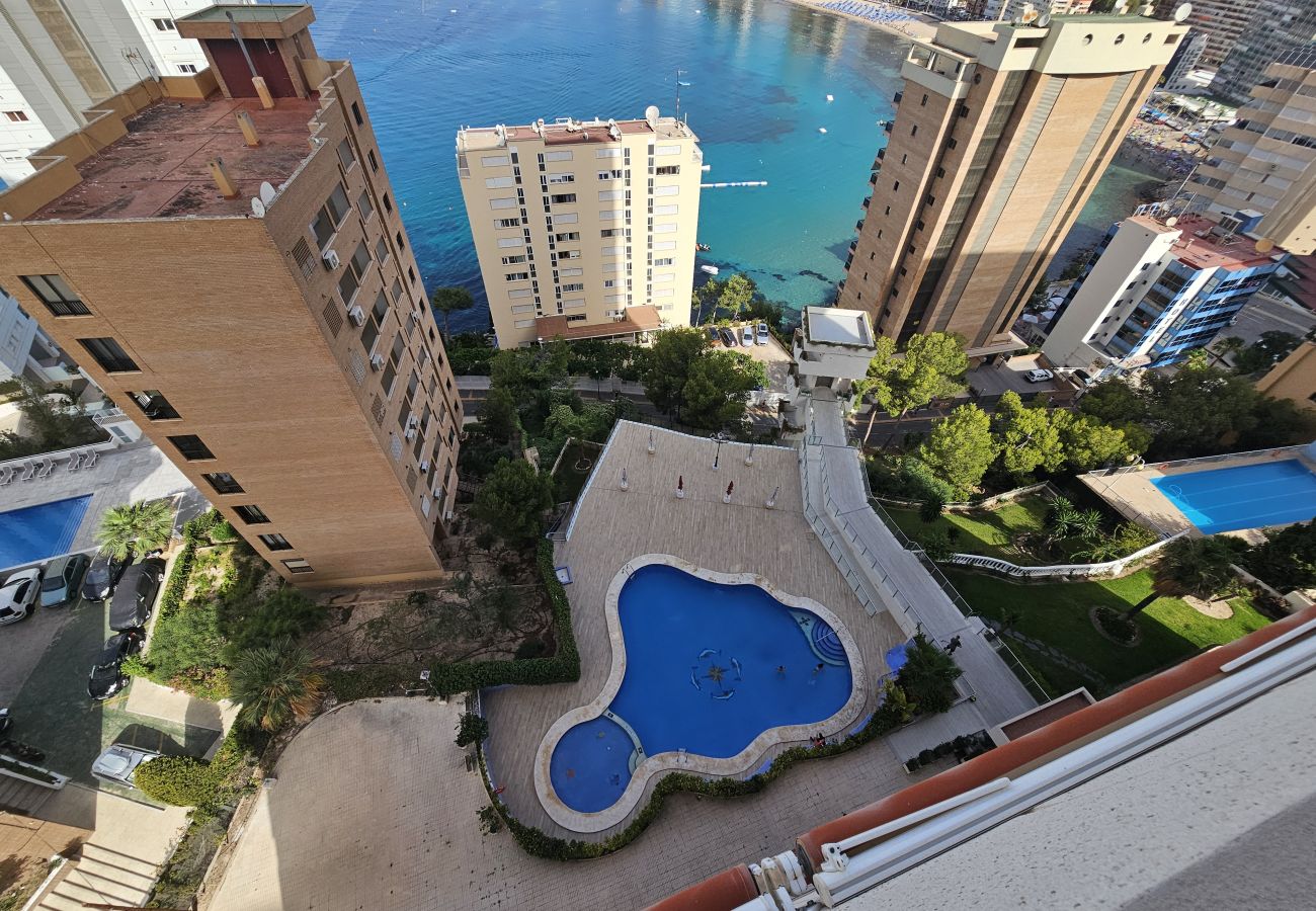 Apartamento en Benidorm - Apartamento Trinisol 11 IF Benidorm