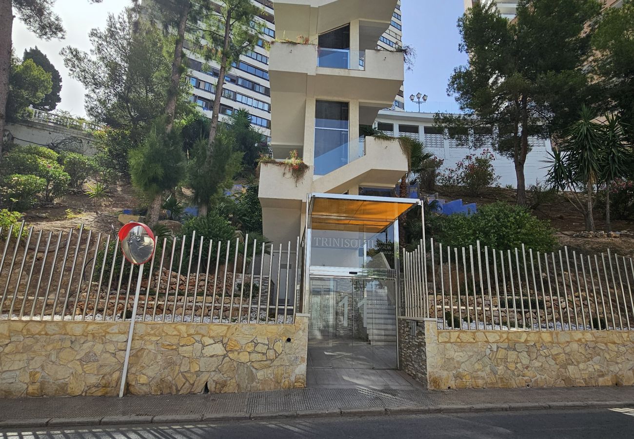 Apartamento en Benidorm - Apartamento Trinisol 11 IF Benidorm