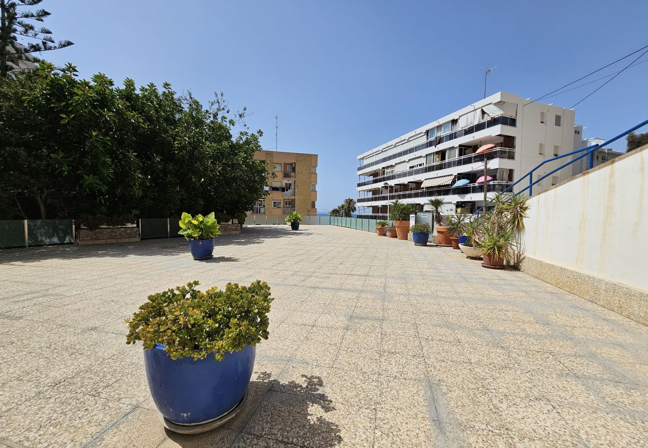 Apartamento en Benidorm - Apartamento Cornelia IF Beach