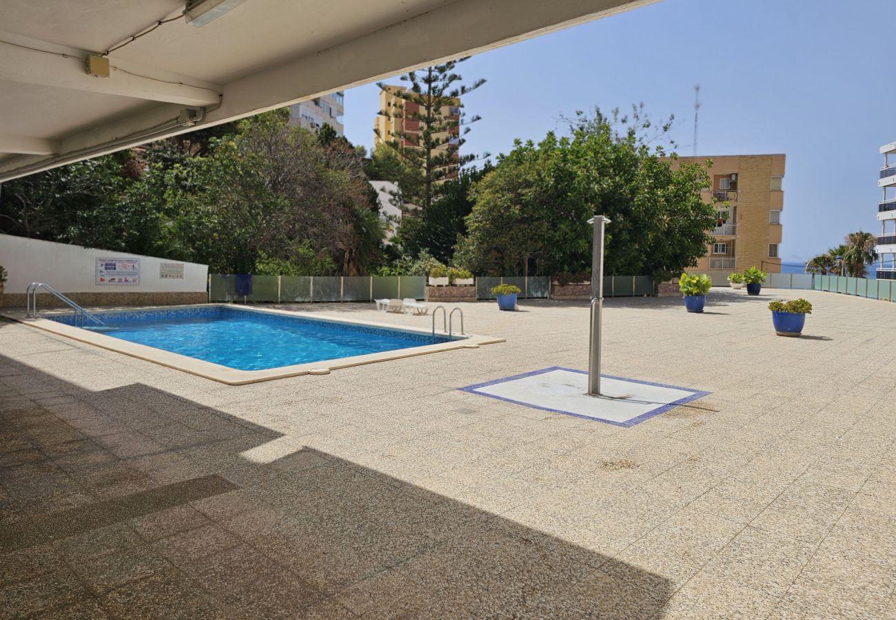 Apartamento en Benidorm - Apartamento Cornelia IF Beach