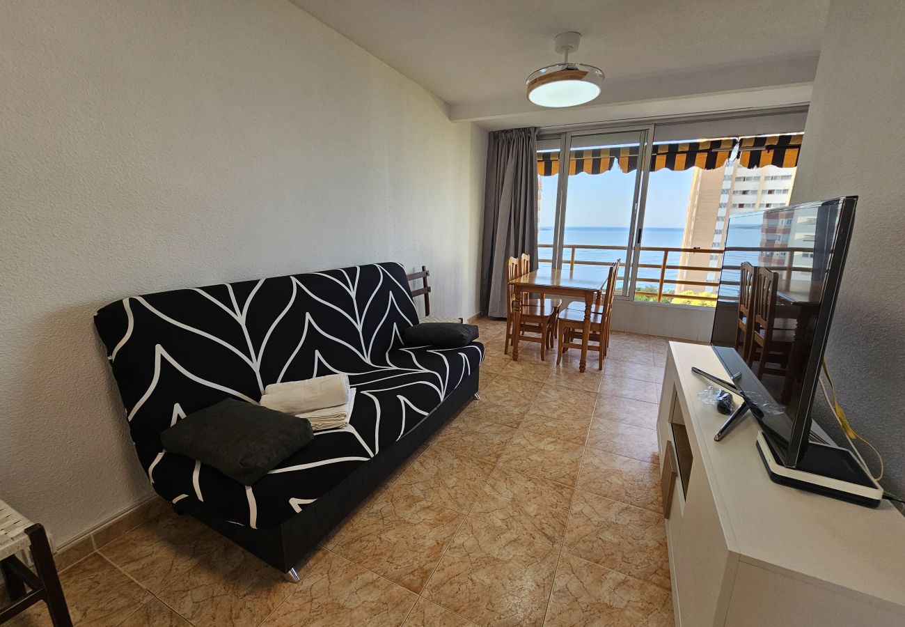 Apartamento en Benidorm - Apartamento Provima B 7 IF Benidorm